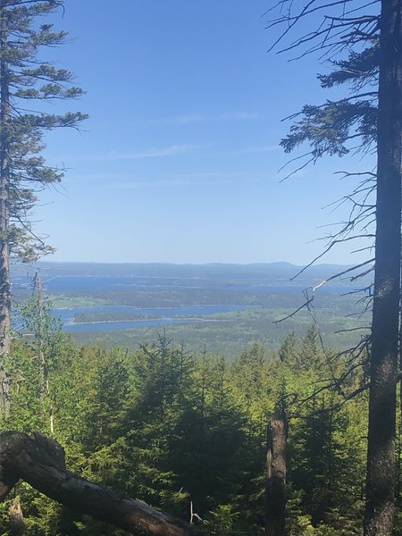 View from the Summit of Bernard Mountain