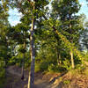 Buffalo Creek Preserve Trail