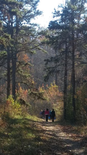 Girl Scouts, Hornets' Nest Council Trail