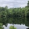 View of the Pond