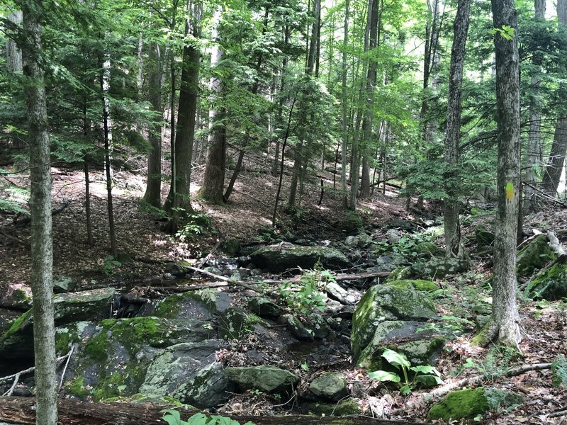 Stream along the trail