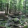 Stream along the trail