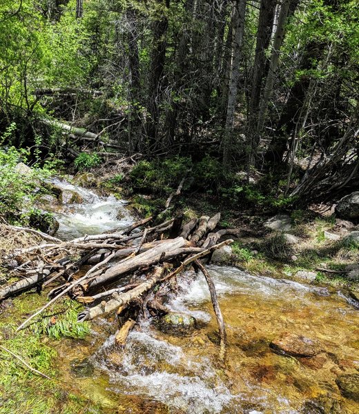 The first creek crossing. A little tricky, but the logs/branches people have placed stayed put in both directions.