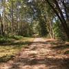 Lyle Creek Greenway