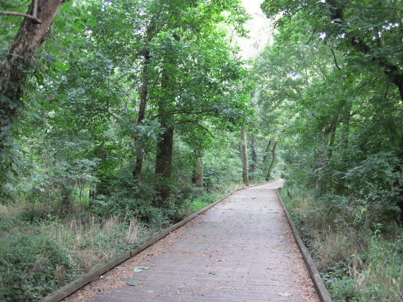 Lower McAlpine Creek Greenway