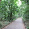 Lower McAlpine Creek Greenway