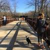 McAlpine Creek Greenway