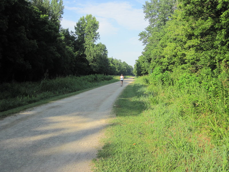 McAlpine Creek Greenway