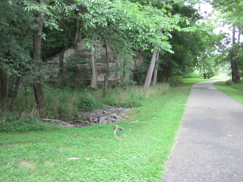 Mallard Creek Greenway