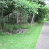 Mallard Creek Greenway