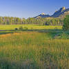 Manter Meadow in the late afternoon. On the right side, there is a sideways view of the Church Dome ridge. You have to leave the trail and hike closer to the meadows for this view.