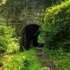 Tunnel connecting the Grist Mill Trail to the Vineyard Springs Trail.