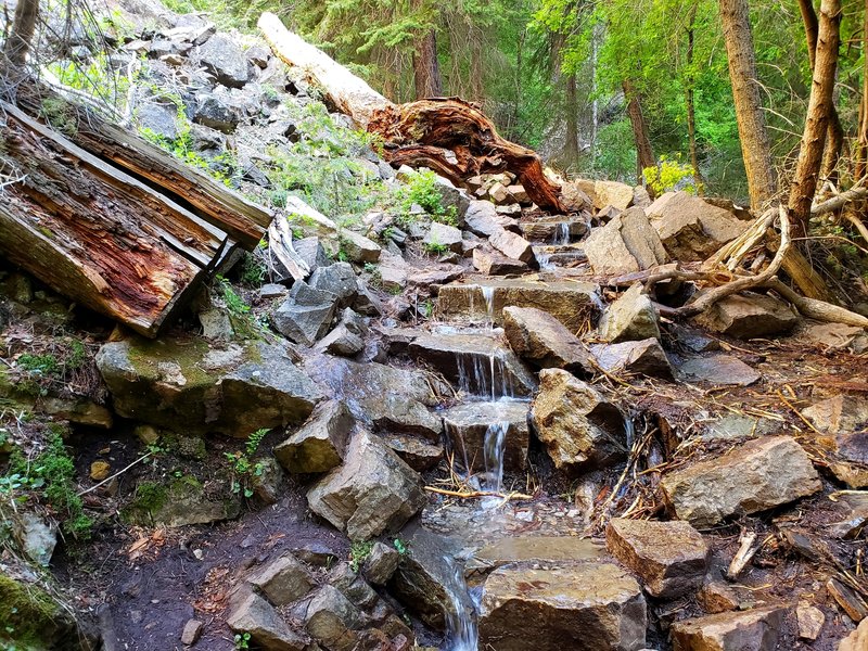 Dead Horse Creek overflowing onto the Hanging Lake Trail.