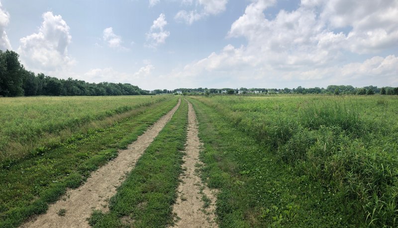 Looking westbound on the trail.