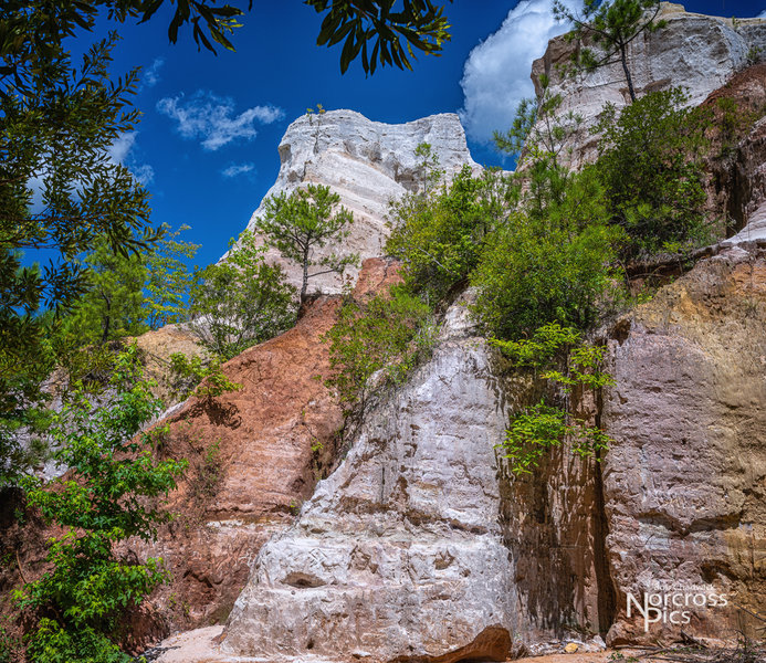 Canyon wall from the canyon floor.