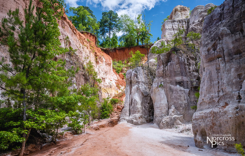 Canyon Trail