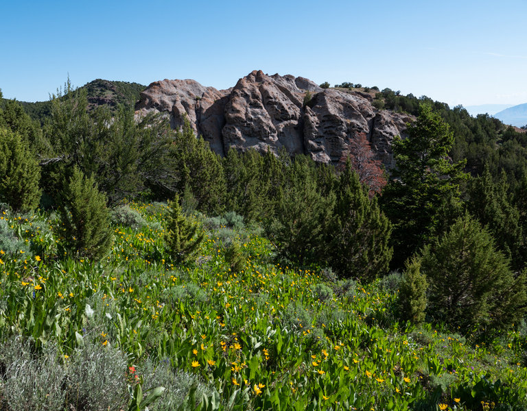 Rock outcrop midway between North Willow and South Willow Canyons.