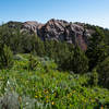 Rock outcrop midway between North Willow and South Willow Canyons.