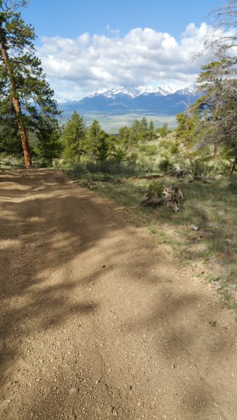 Trail #1434, view of the Collegiate Peaks/Sawatch Range.