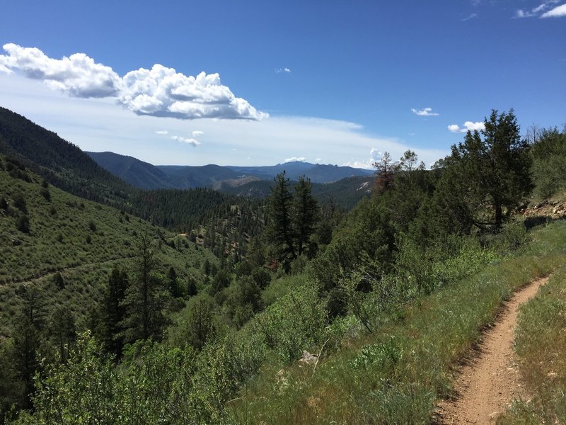 Taken looking south / downstream from mile 4.25 as described by the TRP description. The trail on the left heads downstream towards the southern trailhead / old South Platte Hotel. The trail on the right continues to gain elevation as it heads northbound.