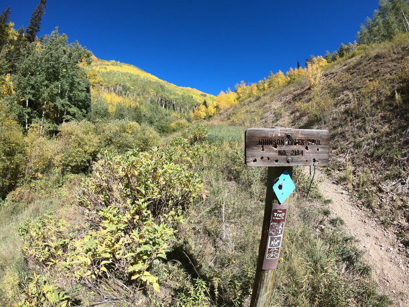 Blue marker looking back up the trail we took down.