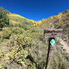 Blue marker looking back up the trail we took down.