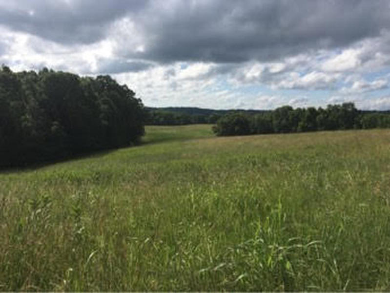 Field alongside trail.