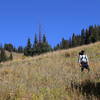 Trekking down from Peter Estin Hut.