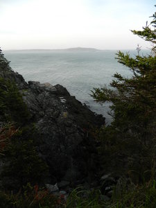 Coast Guard Trail, West Quoddy Head, overlooking Quoddy Narrows with Campobello Island on the horizon.