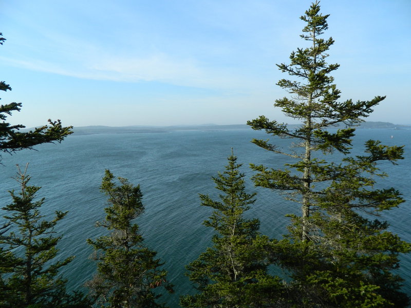 Coast Guard Trail, West Quoddy Head, overlooking Quoddy Narrows towards Campobello.