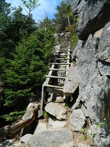Ladder on the Hi-Cannon Trail.