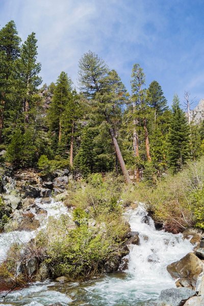 Heading to Lower Eagle Falls.