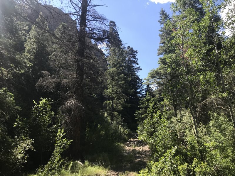 Comales Trail #22 New Mexico