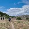 Heading back to the trailhead.