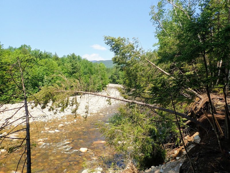 A brief break in the trees offers an overlook of the East Branch Pemigewasset River. Watch for eroding banks.