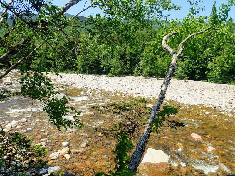 Looking southwest over the East Branch Pemigewasset River.