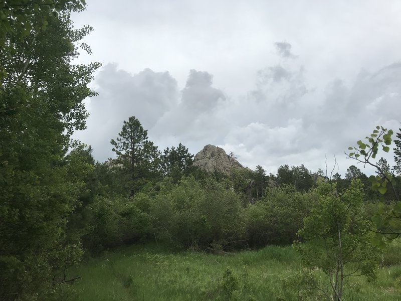 Looking south into the Black Elk Wilderness.