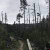 Looking south into the Black Elk Wilderness - panorama.