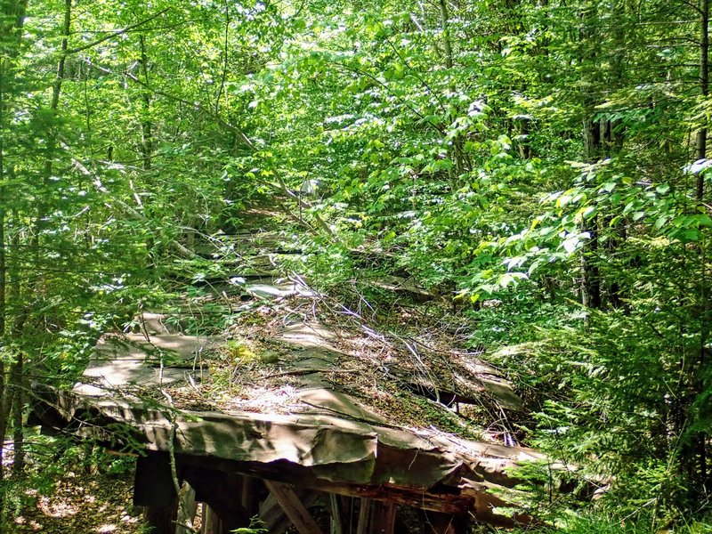 Metal bridge in disrepair over a stream crossing.