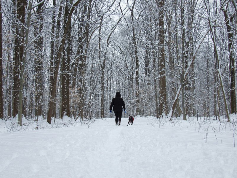 View down Old Rockhaven Trail under a blanket of snow.