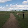 The trail departs the picnic area and heads toward the monument on the hill, roughly 0.5 miles away.