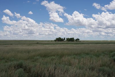 Looking back at the visitor center that sits in a copse of trees in the middle of the high plains.