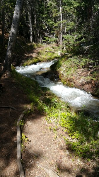 Tumbling Three Elk Creek.