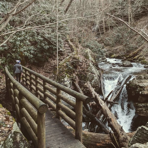 A bridge lies over Stony Creek on the Cascades Trail.