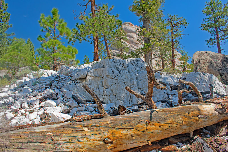 Remarkable waterfall-like pile of crystal rock easily visible from the Domeland Trail. Bart Dome in the background.