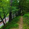 View of the Wood Marr trail as it follows the ridge above the railroad and the Patapsco River.