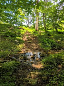 Stream Crossing along Horse Hockey trail