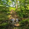 Stream Crossing along Horse Hockey trail