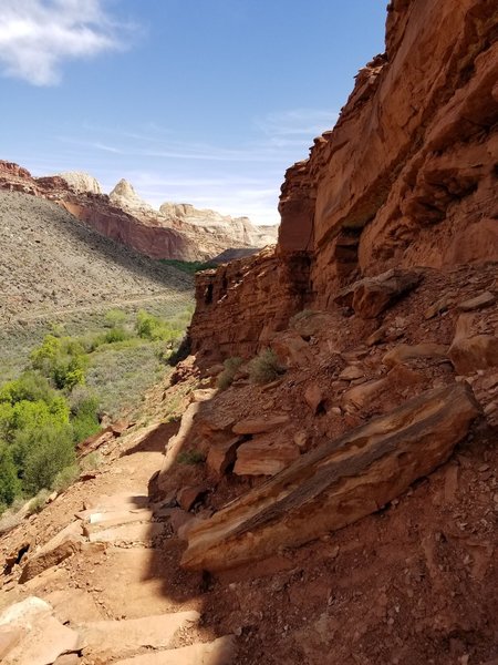 The narrow trail climbs the side of the cliff.