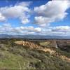 Fort Ord Trail 30 Overlooking the Salinas River